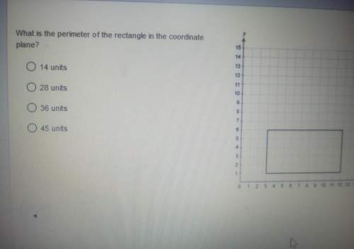 What is the perimeter of the rectangle in the coordinate plane