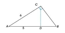 What is the length of the altitude cd in the figure?  a. 3.9b. 2.7c. 3.3d. 2.2