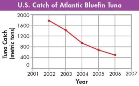 Asap :  the graph shows the amount of bluefin tuna caught by the united states in the atlantic