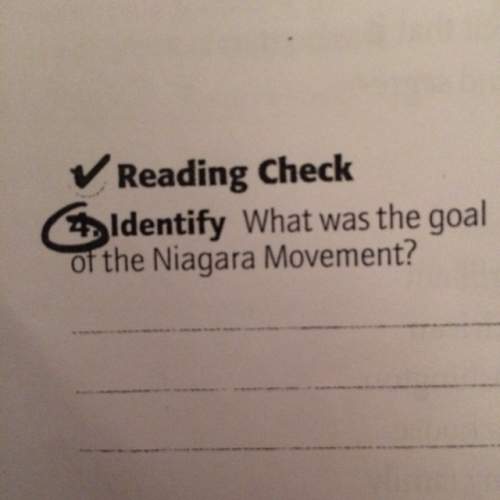 What was the goal of niagara movement?