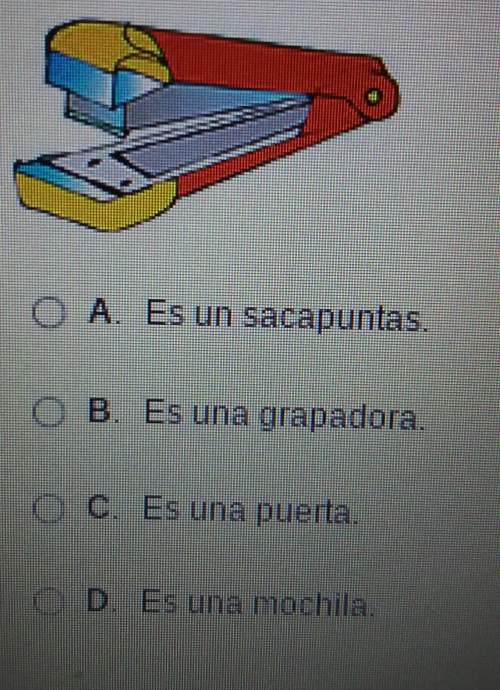 Choose the correct answer to the following question. ¿qué es?