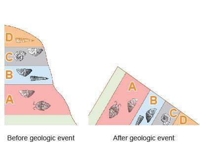 The images show sedimentary layers before and after they were shifted by a geologic event.