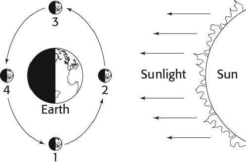 The diagram below shows the relative positions of earth, the moon, and the sun. the moon is shown at