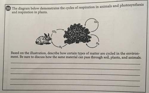 The diagram below demonstrates the cycles of respiration in animals and photosynthesis and respirati