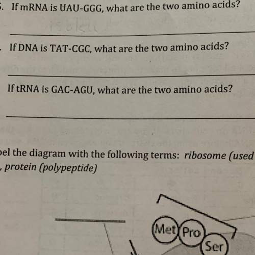 Me figure these out and is there a specific way to find the amino acid