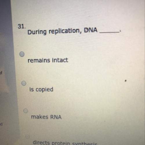 During replication, dna  a? b? c? or d?