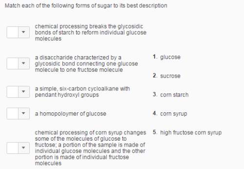 Match each of the following forms of sugar to its best description?