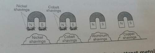 Write a conclusion about a magnet ability to attract metals based on what is shown in this diagram