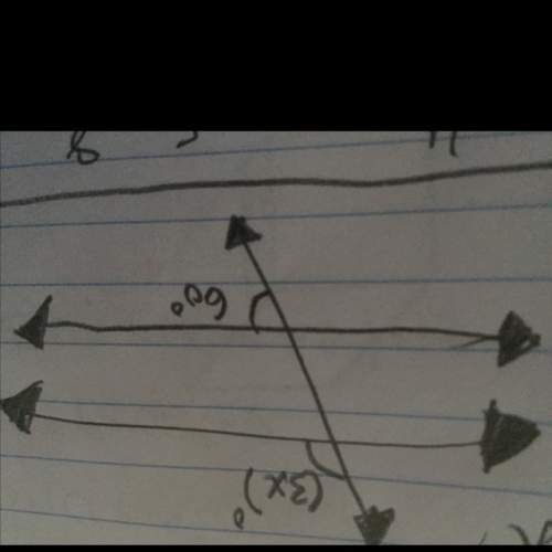 Idon’t know how to do it can you give me the answer for the angle