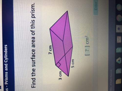 Need with finding the area of this prism