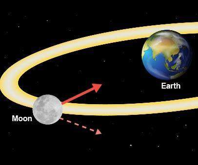 Will mark brainliest!  the diagram shows the moon and earth in space. which is the