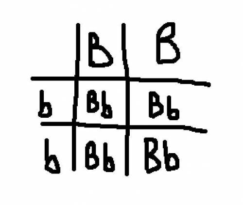 In chickens, Black feathers (B) are dominant over white feathers (b). Complete the Punnett

Square f