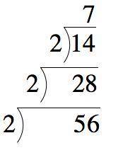 Which expression shows the prime factorization of 56?