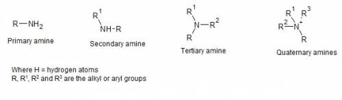 An amino group is weakly basic and includes a(n)  atom covalently bonded to two hydrogen atoms.
