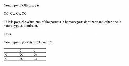 A Punnett square without the genotypes of the parents is shown below.

?
?
?
СС
Сс
?
CC
Сс
What are