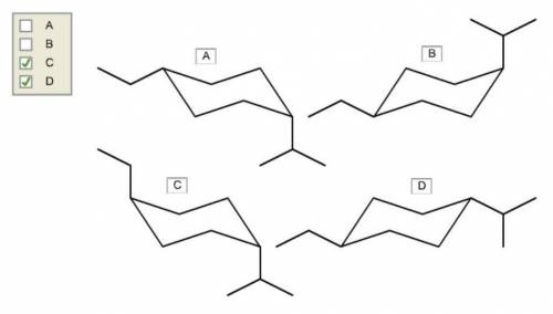 For trans-1-ethyl-4-isopropylcyclohexane, which structures represent the possible boat conformations