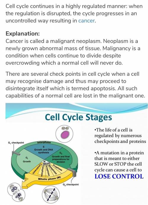 When the signals of the cell cycle are disrupted due to altered DNA, this can lead to ————