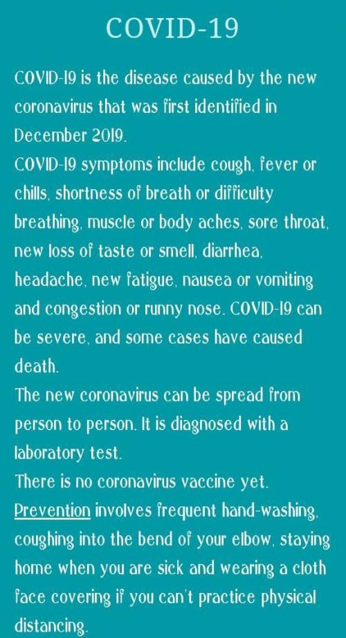 What is coronavirus ​