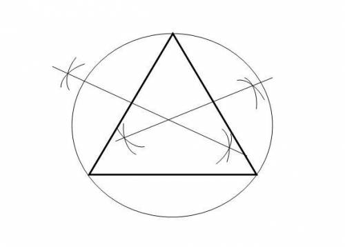 Circumscribe a circle about the given triangle. ​