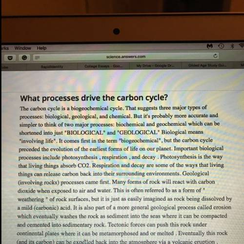 What is 4 processes that drive carbon through its cycle?