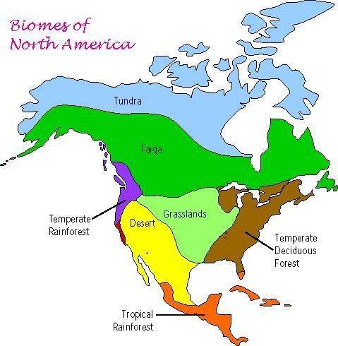 Those who settled in the first thirteen colonies lived mainly in which ecosystem?  a) alpine b) deci