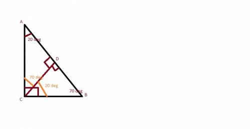In triangle δabc, ∠c is a right angle and cd is the height to ab . find the angles in δcbd and δcad 