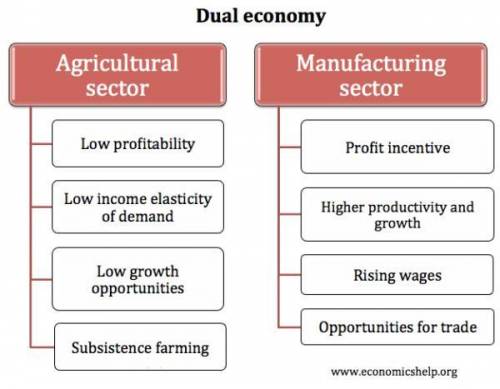 Can someone help i’m panicking 
examples of dual agricultural economy