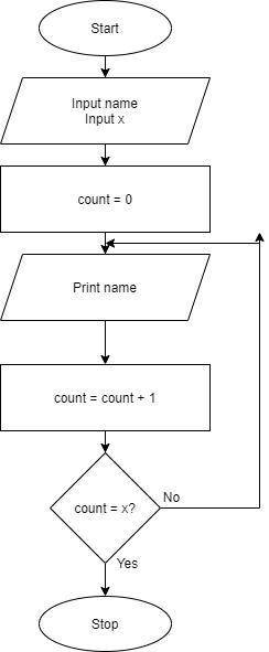 Draw a flowchart diagram for a program that display a person's name x times​