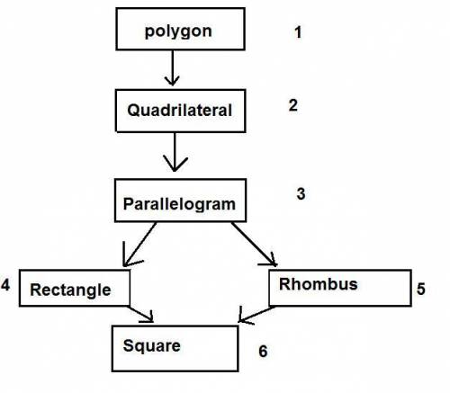 1. A partially completed chart shows the hierarchy of a set of polygons.

Move a term to each blank