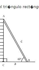 A12-foot ladder rests against a brick wall at angle of 60°. which expression gives the value of x, t