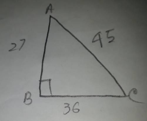 PLEASE HURRY TIME LIMIT 30 POINTS

If ∆is a right triangle AB is 27, BC is 36, and AC is 45, which o