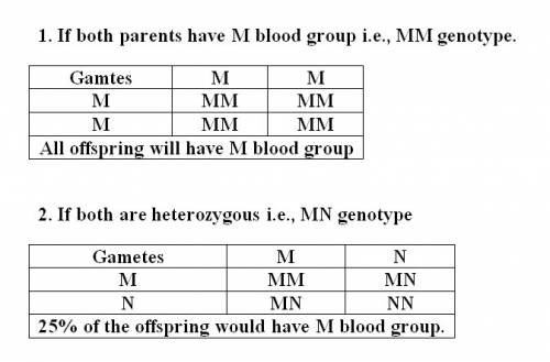 Agene for the mn blood group has codominant alleles m and n. if both children are of blood type m, w