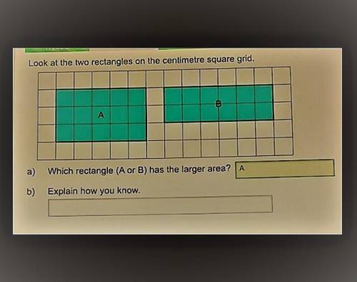Look at the 2 rectangles on the cm grid which rectangle a or b has the larger area explain how you k