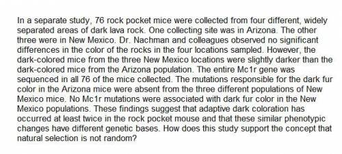 The mutations responsible for the dark fur color in the Arizona mice were absent from the three diff