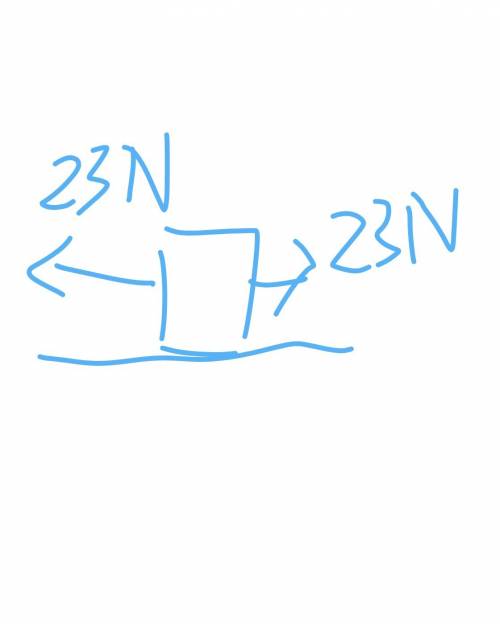 A23-newton horizontal force westward and a 23-newton horizontal force eastward act concurrently on a