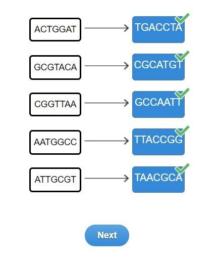 Match the nitrogenous base of rna with its complement. ttaccgg taacgca cgcatgt tgaccta gccaatt actgg