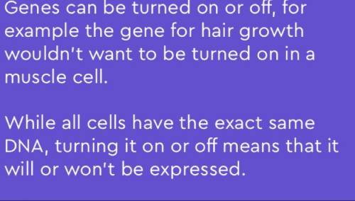 Why do all cells have identical dna