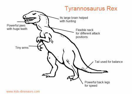 I HAVE ALREADY CHOSEN THE T-REX

For this project, you will research an extinct organism and answer