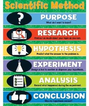 In the scientific method, what step follows making a prediction?  a. analyzing the data b. stating t