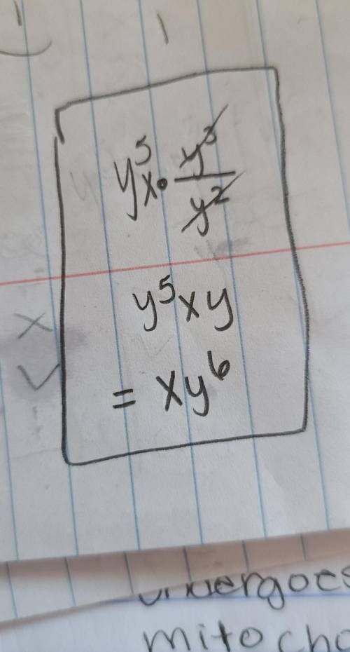 Simplify.
y^5 x y^3 / y^2