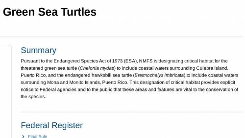 What is the recursive rule for the endangered turtles?