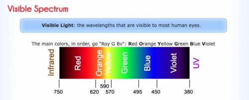 Which of the following have frequencies greater than orange light Your 

radio waves 
purple light