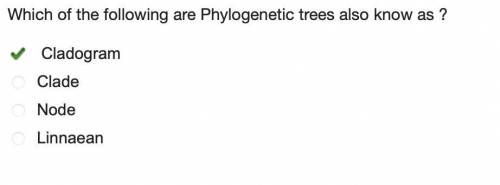 Which of the following

are
Phylogenetic trees also know as ?
O Cladogram
O Clade
O Node
O Linnaean