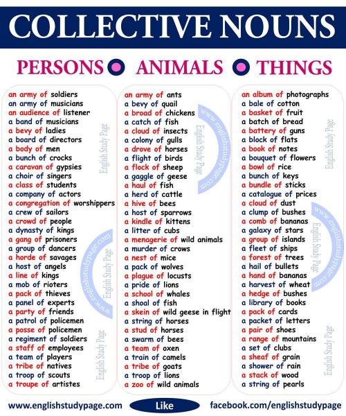 List of collective nouns