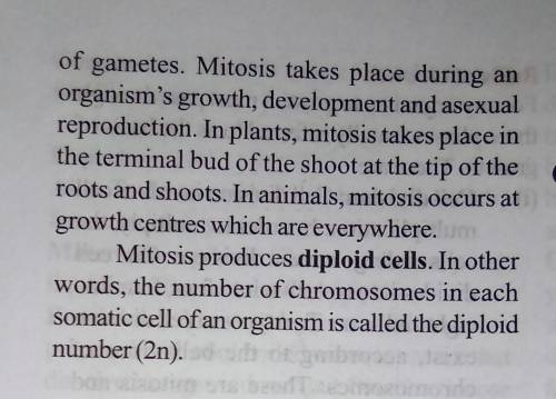 How is meiosis different from mitosis ​