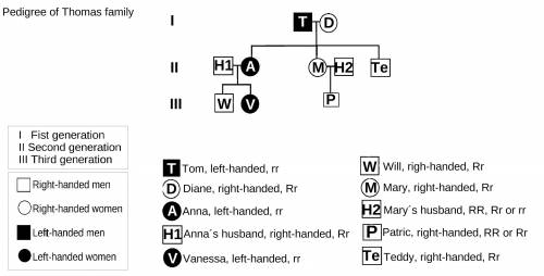 Make a pedigree for left-handedness using information of the Thomas family:

The father, Tom, and mo