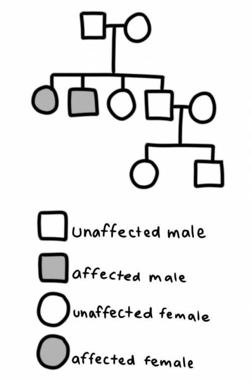 Part One: Family Pedigree Instructions: Use the information provided below to draw a family pedigree