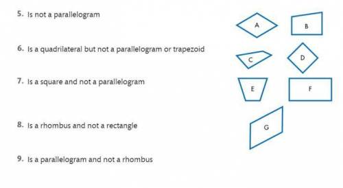 For questions 5-9 list all the polygons shown that fit each description.If there could be no such po