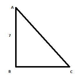 Given the right triangle ABC with right angle B, angle A is twice the size of angle C. If the measur