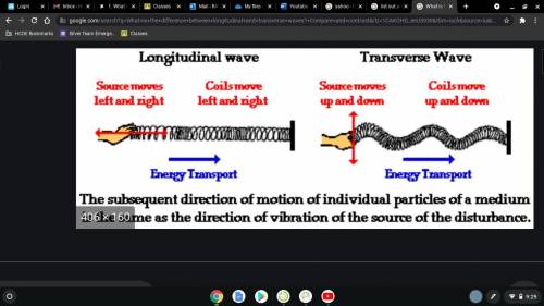 1. What is the difference between longitudinal and transverse waves? Compare and contrast

the direc